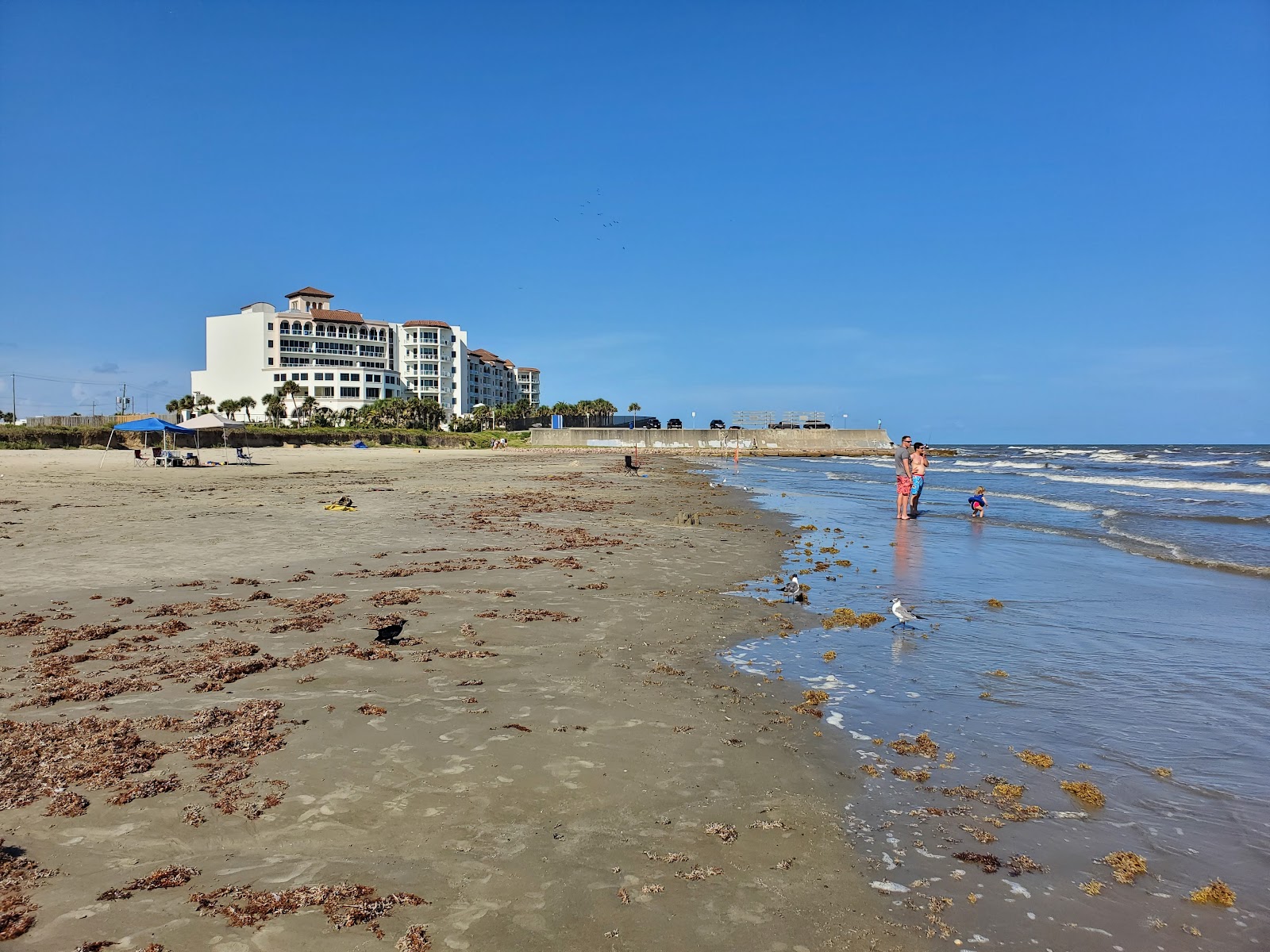 Fotografija Galveston beach II nahaja se v naravnem okolju