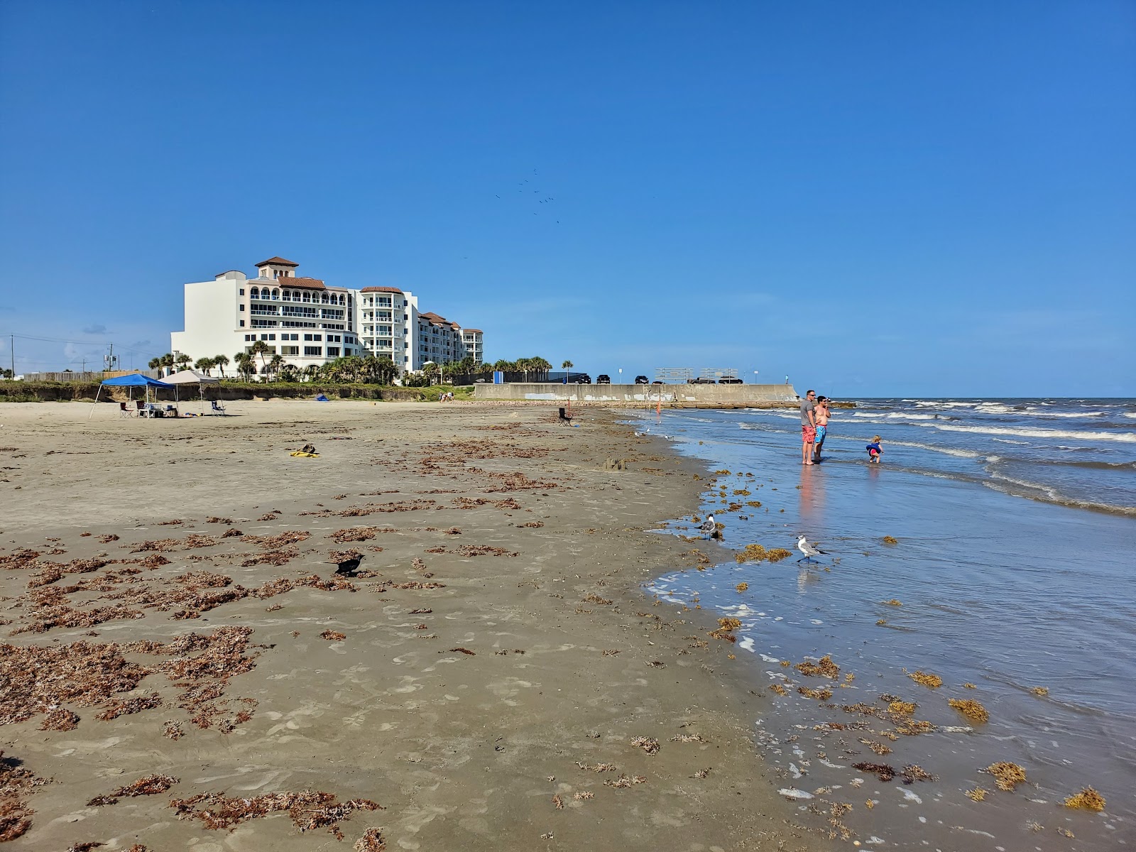 Zdjęcie Galveston beach II - popularne miejsce wśród znawców relaksu