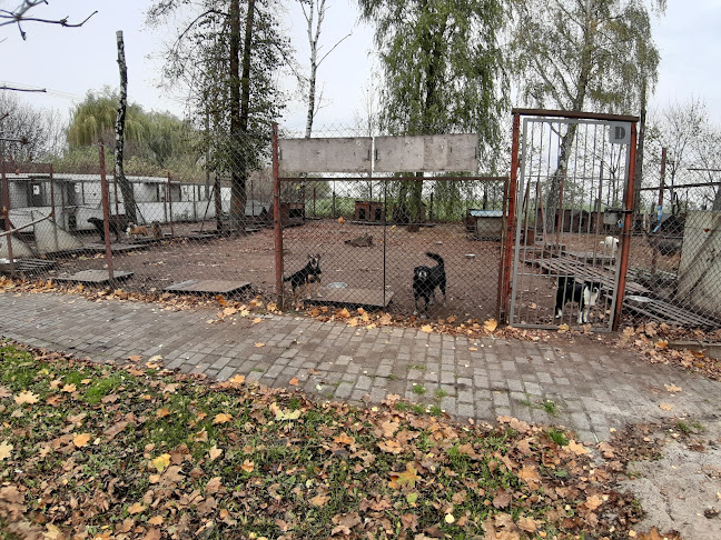IGKiM Sp. z o.o. w Inowrocławiu Schronisko dla zwierząt - Inowrocław