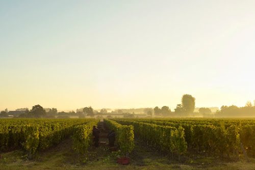 SCEA Domaine du Clos de Lassay à Saint-Macaire-du-Bois