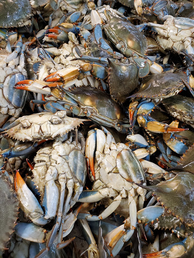 Asian Grocery Store «Kim Nhung Superfood», reviews and photos, 30925 Dequindre Rd, Madison Heights, MI 48071, USA