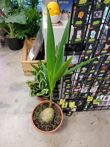 Toy Store «Zonkey», reviews and photos, 161 Jackson St, San Jose, CA 95112, USA