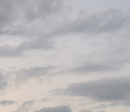 Petco Sania (Express) photo