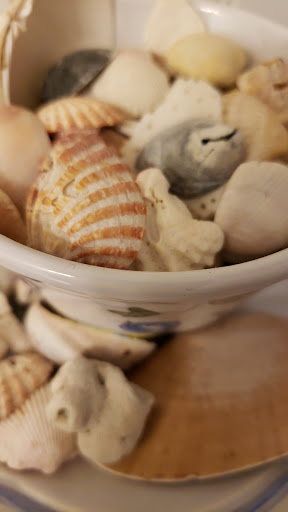 Thrift Store «GCF Donation Center & Store (Elizabeth City)», reviews and photos