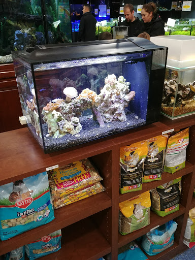 Tropical Fish Store «Aquarium Adventure», reviews and photos, 744 E Boughton Rd, Bolingbrook, IL 60440, USA