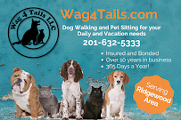 Wag 4 Tails LLC - Photo 1 - Car repair in Ridgewood, NJ, Yonkers