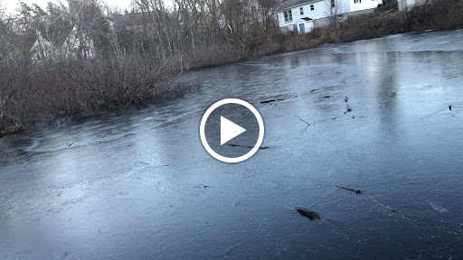 Nature Preserve «Dolan Pond Conservation Area», reviews and photos, Webster Park, West Newton, MA 02465, USA