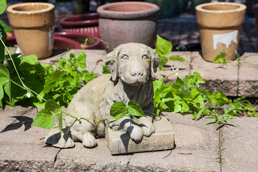 Sod Supplier «Woerner Landscape Source & Pet Supply - Pensacola», reviews and photos, 1332 Creighton Rd, Pensacola, FL 32504, USA