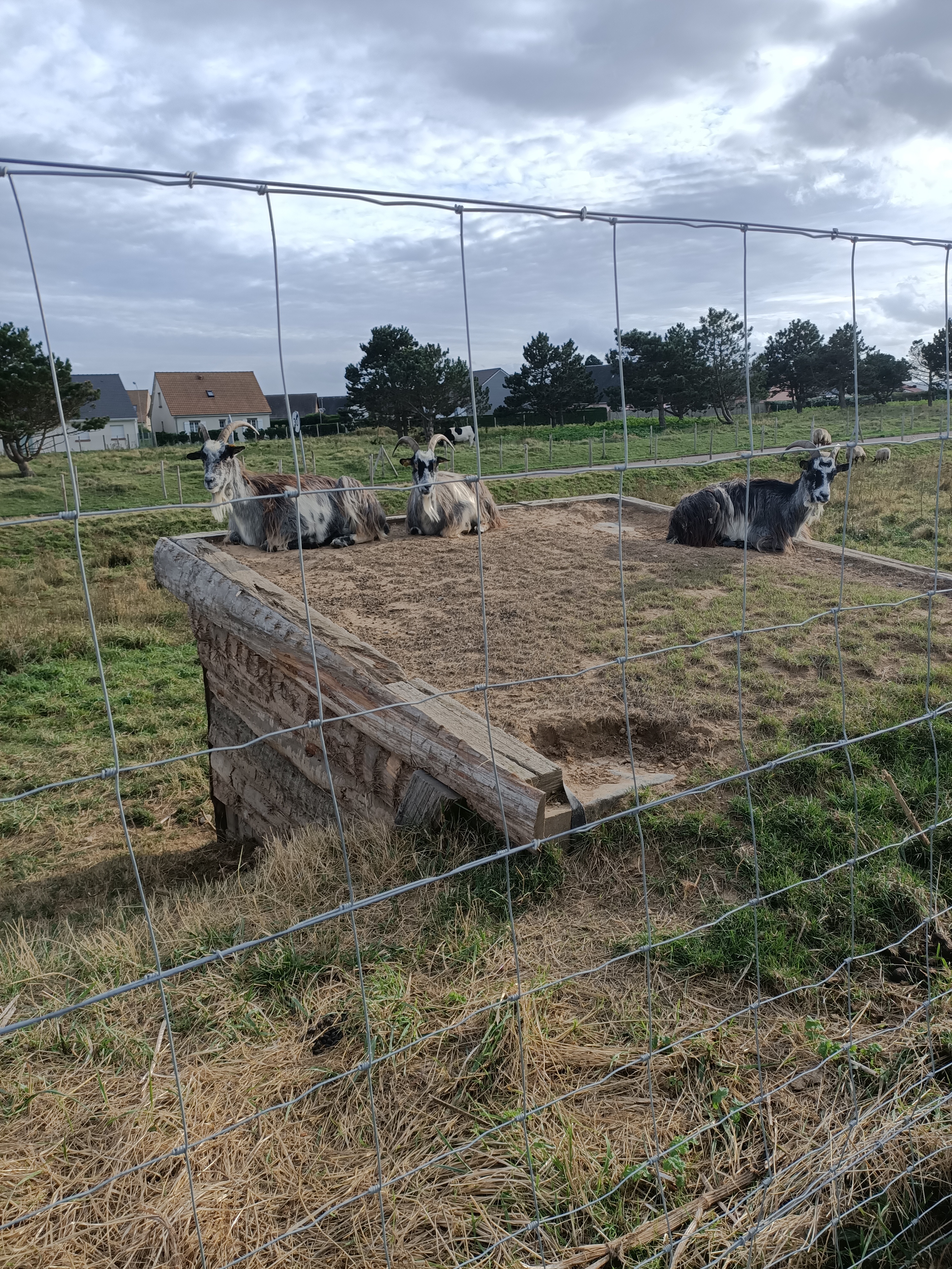 Photo n° 2 de l'avis de claude.a fait le 28/09/2021 à 17:39