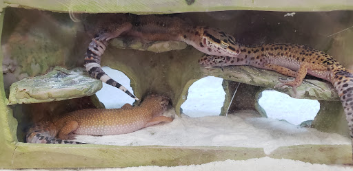 Pet Supply Store «Petco Animal Supplies», reviews and photos, 6137 Mid Rivers Mall Dr, St Charles, MO 63304, USA