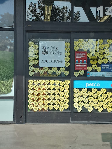 Pet Supply Store «Petco Animal Supplies», reviews and photos, 1429 W Pacheco Blvd, Los Banos, CA 93635, USA