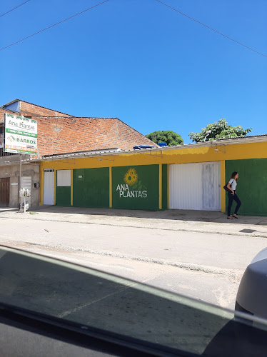 Número de telefone de ANA PLANTAS