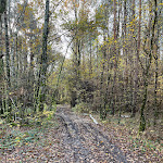 Photo n° 12 de l'avis de Camila.o fait le 20/11/2023 à 12:59 pour Parenthèse - Tiny house à Chambon-la-Forêt