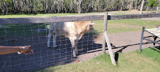 Produce Market «Keystone Farmers Market LLC», reviews and photos, 12615 Tarpon Springs Rd, Odessa, FL 33556, USA
