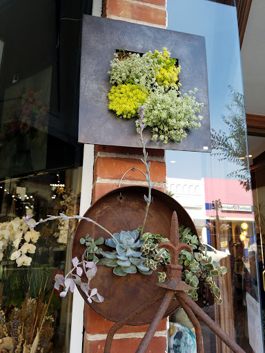 Shopping Mall «Fox Mall», reviews and photos, 1419 Burlingame Ave, Burlingame, CA 94010, USA