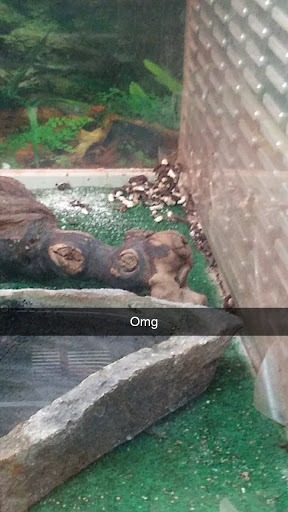 Pet Supply Store «Pet Supplies Plus», reviews and photos, 42241 Garfield Rd, Charter Twp of Clinton, MI 48038, USA