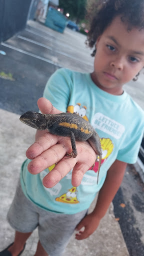 Pet Supply Store «PetSmart», reviews and photos, 300 N Congress Ave, Lake Park, FL 33403, USA