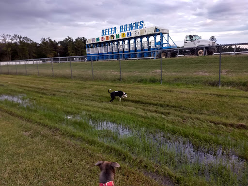 Casino «Delta Downs Racetrack Casino Hotel», reviews and photos, 2717 Delta Downs Dr, Vinton, LA 70668, USA