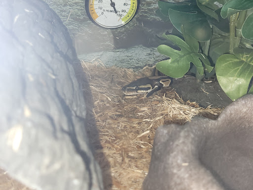 Pet Supply Store «Petco Animal Supplies», reviews and photos, 35 Fort Eddy Rd, Concord, NH 03301, USA