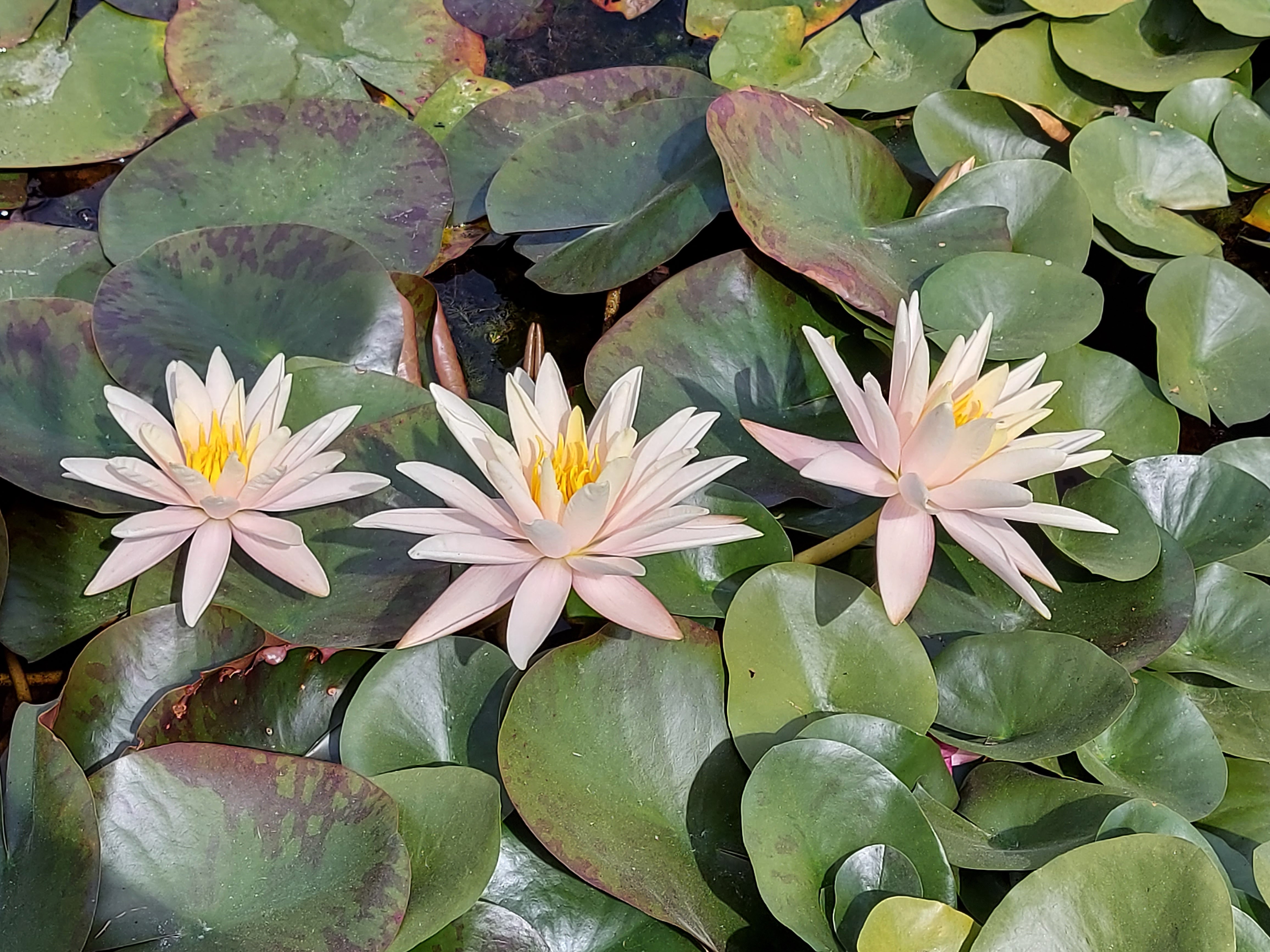 Photo n° 1 de l'avis de Brigitte.o fait le 02/09/2021 à 08:01