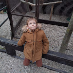 Photo n° 6 de l'avis de Céline.o fait le 05/11/2023 à 11:00 pour La Volerie des Aigles à Kintzheim