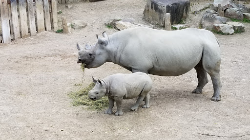 Zoo «Cleveland Metroparks Zoo», reviews and photos, 3900 Wildlife Way, Cleveland, OH 44109, USA