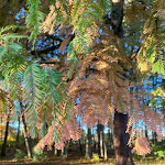 Photo n°9 de l'avis de J.S fait le 04/11/2023 à 10:29 sur le  Schloss Hohenkammer à Hohenkammer