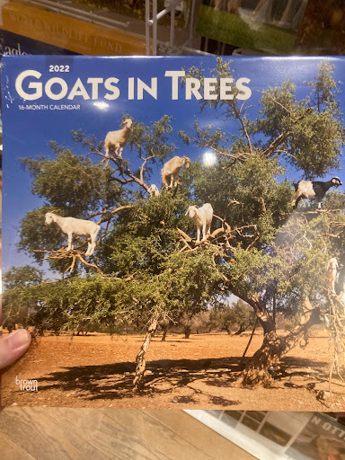 Computer Store «Apple Short Pump Town Center», reviews and photos, 11800 W Broad St, Henrico, VA 23233, USA