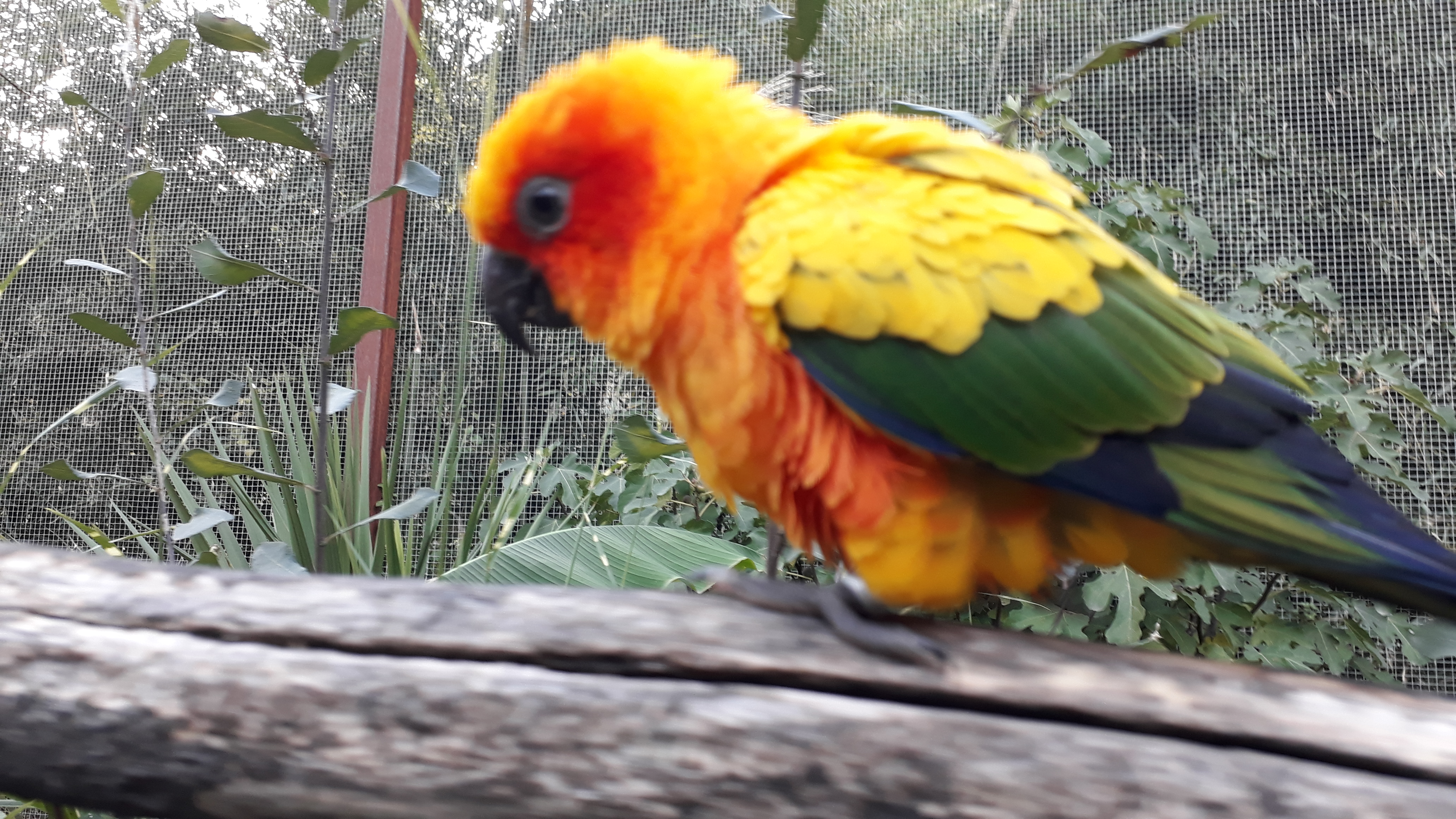 Photo n° 8 de l'avis de Mickaël.a fait le 06/11/2018 à 17:43