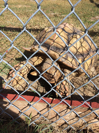 Zoo «Petting zoo Ocala», reviews and photos, 11150 FL-40, Ocala, FL 34482, USA