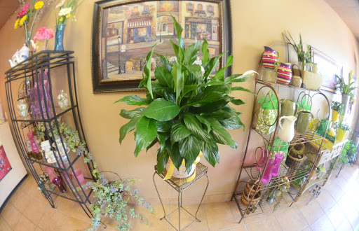 Florist «Florist Of The Northwoods», reviews and photos, 2250 FL-580 #5, Clearwater, FL 33763, USA