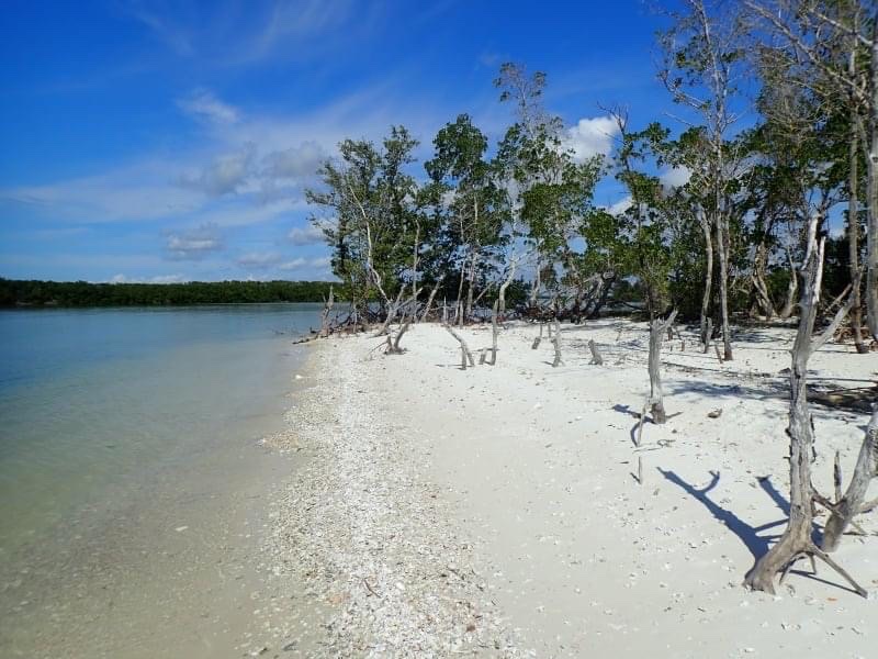 Foto de Turkey Key com areia brilhante superfície