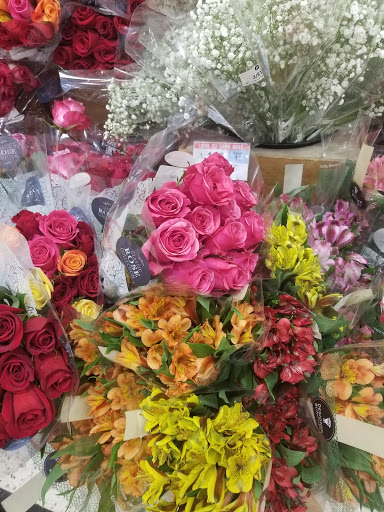 Drug Store «Walgreens», reviews and photos, 1490 Rock Springs Rd, Apopka, FL 32712, USA