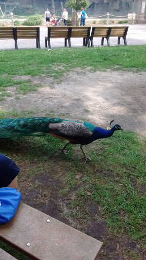 Animal Park «Detroit Zoo Safari Station Exit», reviews and photos, Ludlow Pl, Huntington Woods, MI 48070, USA