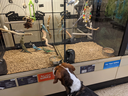 Pet Supply Store «PetSmart», reviews and photos, 9277 159th St, Orland Hills, IL 60487, USA