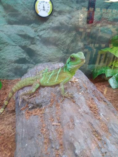 Pet Supply Store «Petco Animal Supplies», reviews and photos, 1401 E Spring Valley Rd, Richardson, TX 75081, USA