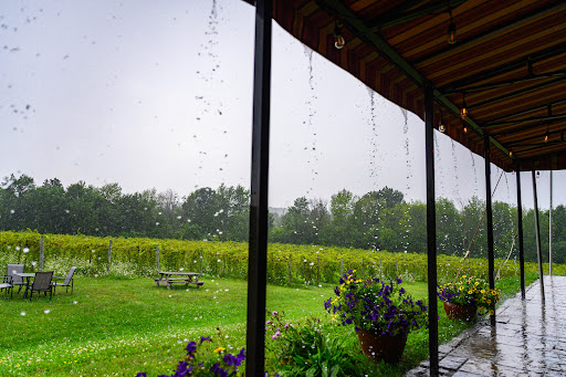 Vineyard «Shelburne Vineyard», reviews and photos, 6308 Shelburne Rd, Shelburne, VT 05482, USA