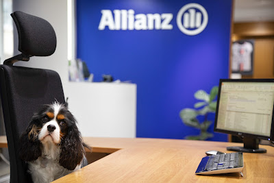 Allianz Assurance TOULOUSE MANUFACTURE - DE LA RUPELLE & MIGNAUD à Toulouse
