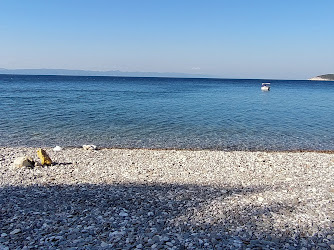 sait faik abasıyanık koyu