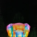 Photo n° 5 de l'avis de Paparazzi.x fait le 06/06/2019 à 07:02 pour Zoo d'Amnéville à Amnéville