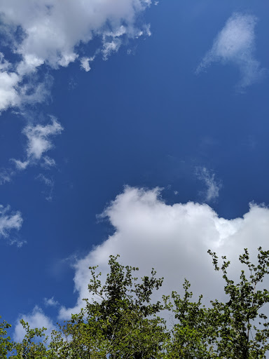 Park «Concord Park», reviews and photos, 3301 SW 114th Ave, Miami, FL 33165, USA