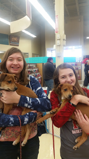 Pet Supply Store «Petco Animal Supplies», reviews and photos, 8551 S Howell Ave, Oak Creek, WI 53154, USA