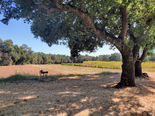 Farm «Oak Hill Farm», reviews and photos, 15101 CA-12, Glen Ellen, CA 95442, USA