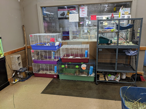 Pet Store «A to Z Pets», reviews and photos, 16010 SE Division St, Portland, OR 97236, USA