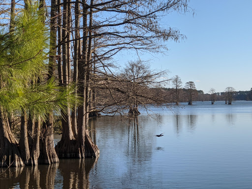 Golf Club «Stumpy Lake Golf Course», reviews and photos, 4797 Indian River Rd, Virginia Beach, VA 23456, USA