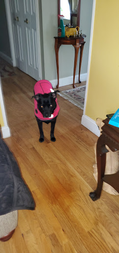 Pet Supply Store «Petco Animal Supplies», reviews and photos, 1111 US-46, Parsippany, NJ 07054, USA