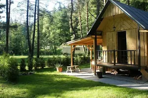 Annin Tree Park Camp image