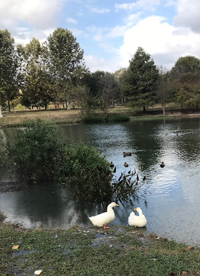 AF1QipM2NpN4O6C5_NG41Rpw2PqSegulbAjhxtLprLFD=w408-h560-k-no