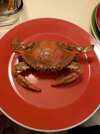 Condominium Complex «Sanctuary Realty at Sandbridge», reviews and photos, 3700 Sandpiper Rd, Virginia Beach, VA 23456, USA