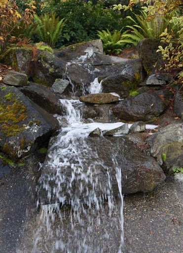 Funeral Home «Mills & Mills Funeral Home», reviews and photos, 5725 Littlerock Rd SW, Tumwater, WA 98512, USA